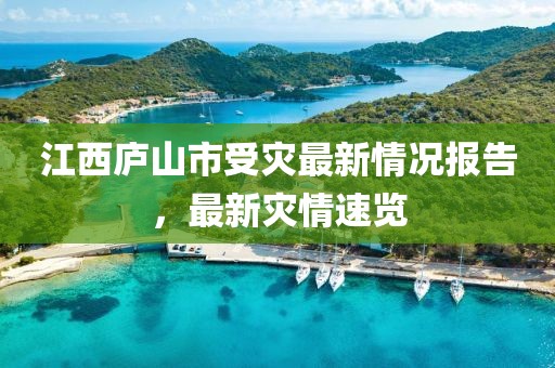 江西庐山市受灾最新情况报告，最新灾情速览