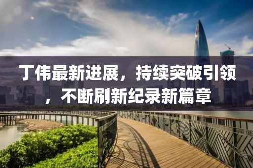 丁伟最新进展，持续突破引领，不断刷新纪录新篇章