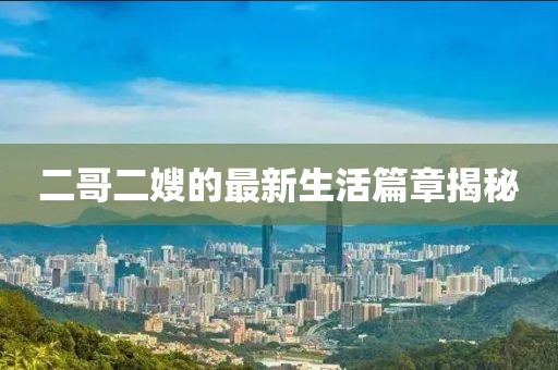 二哥二嫂的最新生活篇章揭秘