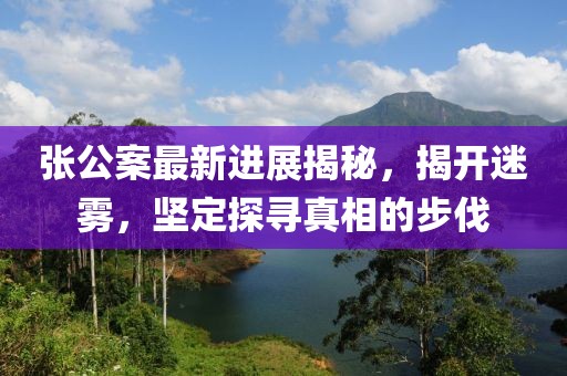 张公案最新进展揭秘，揭开迷雾，坚定探寻真相的步伐