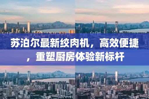 苏泊尔最新绞肉机，高效便捷，重塑厨房体验新标杆