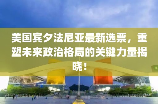 美国宾夕法尼亚最新选票，重塑未来政治格局的关键力量揭晓！