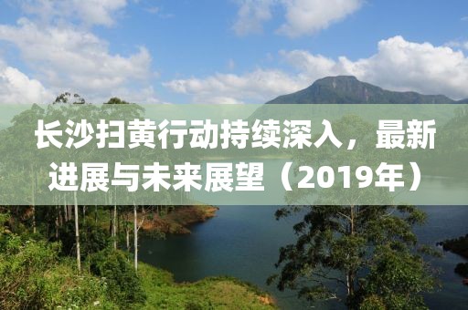 长沙扫黄行动持续深入，最新进展与未来展望（2019年）