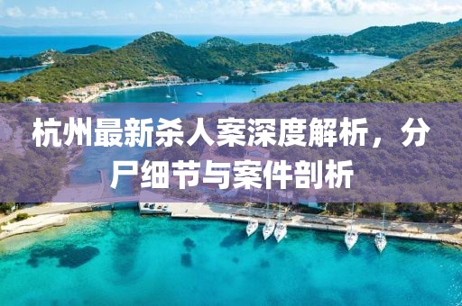 杭州最新杀人案深度解析，分尸细节与案件剖析
