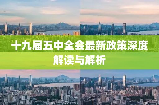 十九届五中全会最新政策深度解读与解析