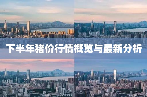 下半年猪价行情概览与最新分析