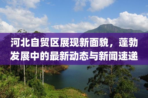 河北自贸区展现新面貌，蓬勃发展中的最新动态与新闻速递
