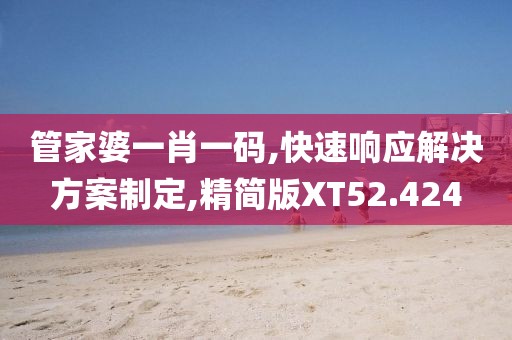 管家婆一肖一码,快速响应解决方案制定,精简版XT52.424