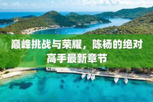 巅峰挑战与荣耀，陈杨的绝对高手最新章节