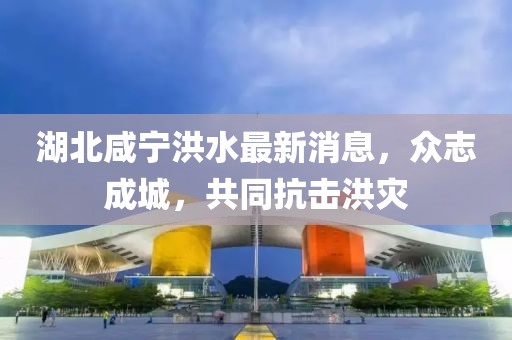 湖北咸宁洪水最新消息，众志成城，共同抗击洪灾