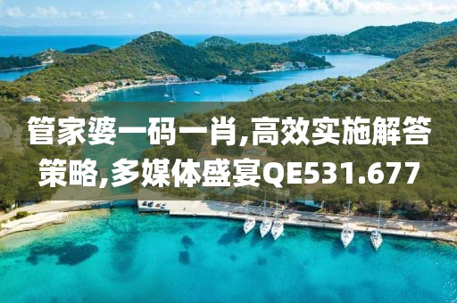 管家婆一码一肖,高效实施解答策略,多媒体盛宴QE531.677