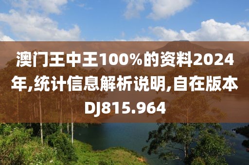 澳门王中王100%的资料2024年,统计信息解析说明,自在版本DJ815.964