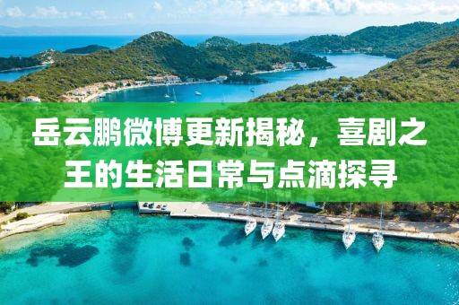 岳云鹏微博更新揭秘，喜剧之王的生活日常与点滴探寻