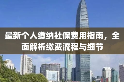 最新个人缴纳社保费用指南，全面解析缴费流程与细节