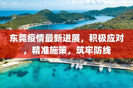 东莞疫情最新进展，积极应对，精准施策，筑牢防线