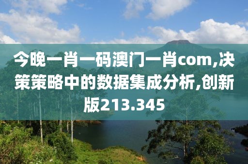 今晚一肖一码澳门一肖com,决策策略中的数据集成分析,创新版213.345