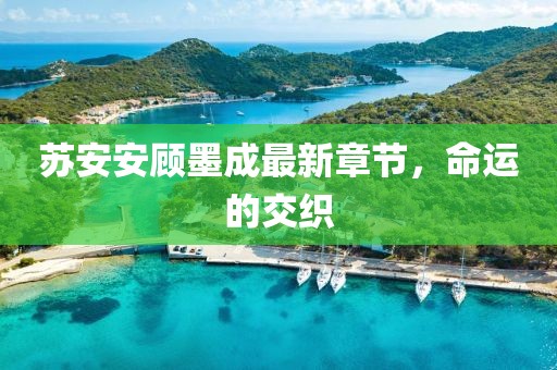 苏安安顾墨成最新章节，命运的交织