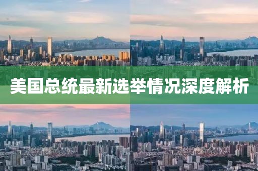 美国总统最新选举情况深度解析