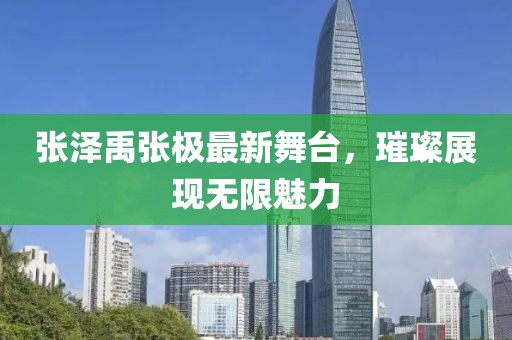张泽禹张极最新舞台，璀璨展现无限魅力