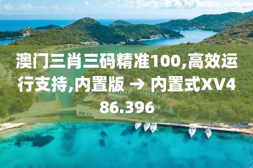 澳门三肖三码精准100,高效运行支持,内置版 → 内置式XV486.396