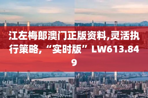 江左梅郎澳门正版资料,灵活执行策略,“实时版”LW613.849