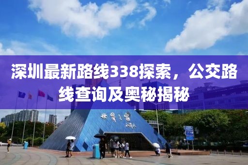深圳最新路线338探索，公交路线查询及奥秘揭秘