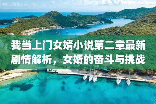 我当上门女婿小说第二章最新剧情解析，女婿的奋斗与挑战