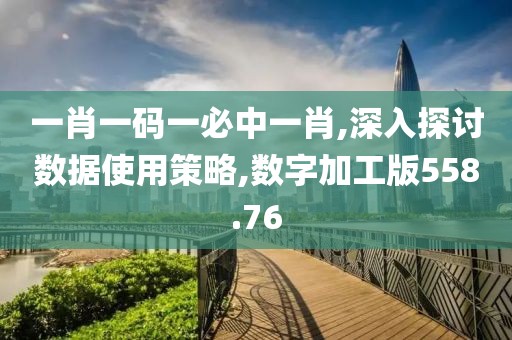 一肖一码一必中一肖,深入探讨数据使用策略,数字加工版558.76