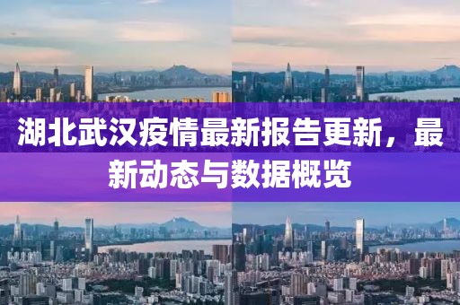 湖北武汉疫情最新报告更新，最新动态与数据概览