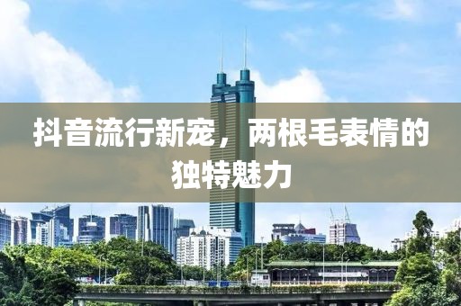 抖音流行新宠，两根毛表情的独特魅力
