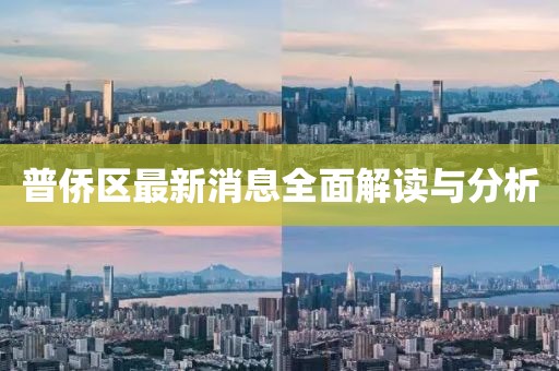 普侨区最新消息全面解读与分析