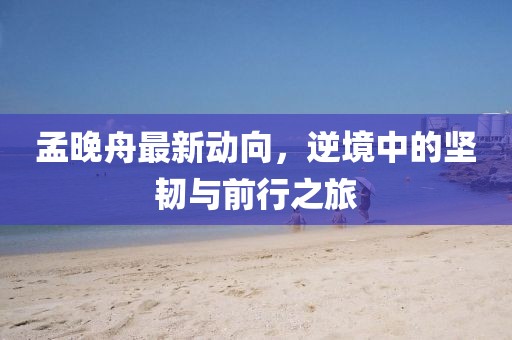孟晚舟最新动向，逆境中的坚韧与前行之旅