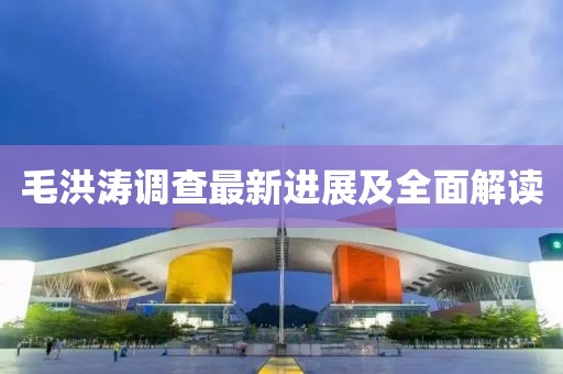 毛洪涛调查最新进展及全面解读