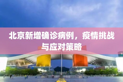 北京新增确诊病例，疫情挑战与应对策略
