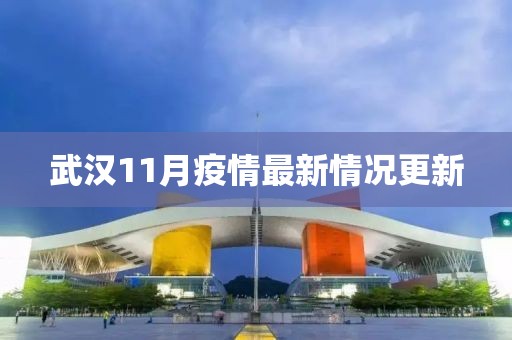武汉11月疫情最新情况更新