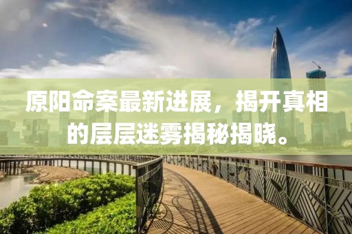 原阳命案最新进展，揭开真相的层层迷雾揭秘揭晓。