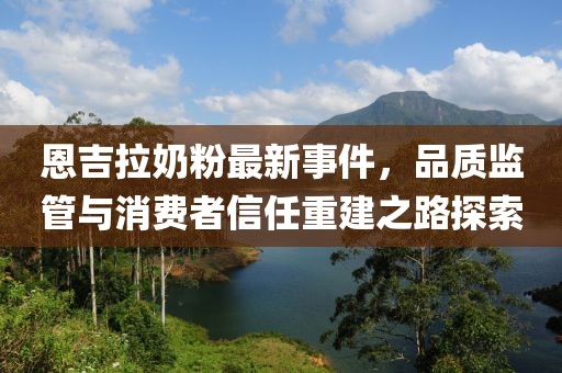 恩吉拉奶粉最新事件，品质监管与消费者信任重建之路探索