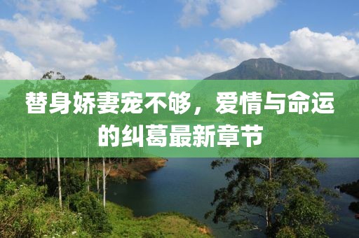 替身娇妻宠不够，爱情与命运的纠葛最新章节