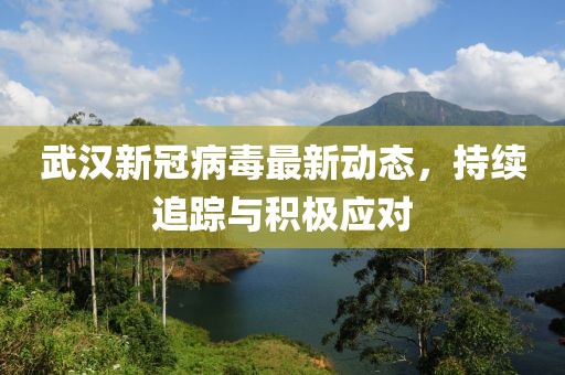 武汉新冠病毒最新动态，持续追踪与积极应对