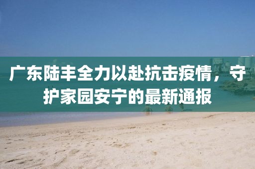 广东陆丰全力以赴抗击疫情，守护家园安宁的最新通报