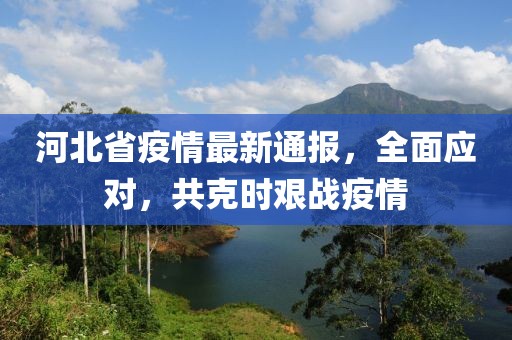 河北省疫情最新通报，全面应对，共克时艰战疫情