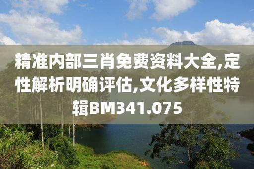 精准内部三肖免费资料大全,定性解析明确评估,文化多样性特辑BM341.075