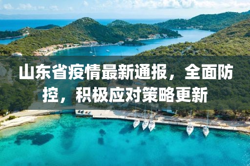 山东省疫情最新通报，全面防控，积极应对策略更新