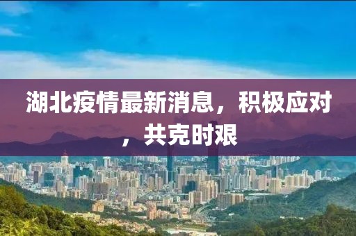 湖北疫情最新消息，积极应对，共克时艰