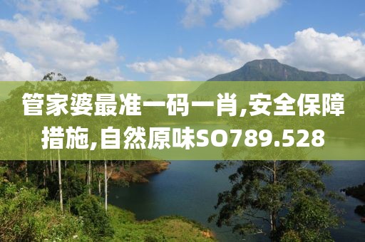 管家婆最准一码一肖,安全保障措施,自然原味SO789.528