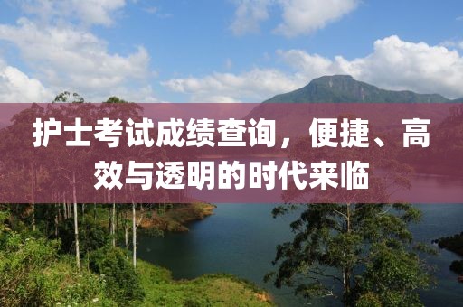 护士考试成绩查询，便捷、高效与透明的时代来临