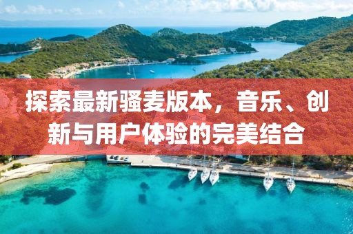探索最新骚麦版本，音乐、创新与用户体验的完美结合