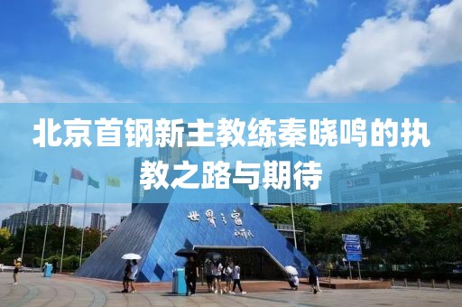 北京首钢新主教练秦晓鸣的执教之路与期待