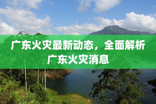 广东火灾最新动态，全面解析广东火灾消息