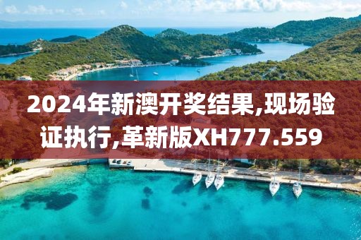 2024年新澳开奖结果,现场验证执行,革新版XH777.559